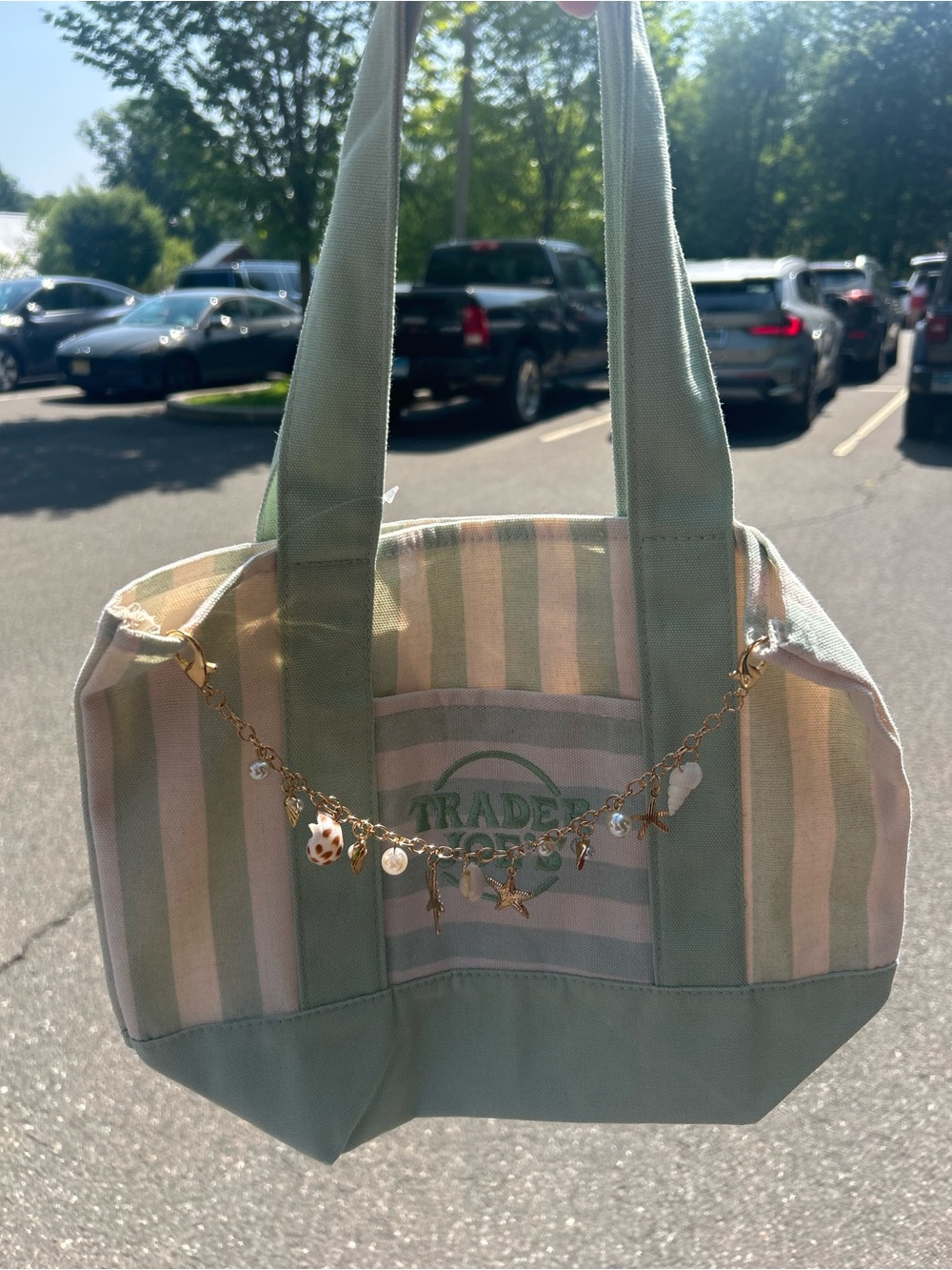 Trader Joe’s Mint Green Striped Canvas Tote Bag